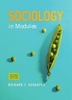 Sociology In Modules, 2 Edition