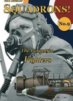 The Forgotten Fighters: Volume 9 (Squadrons!)