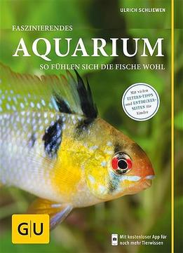 Faszinierendes Aquarium: So Fühlen Sich Die Fische Wohl. Mit Eltern-Tipps