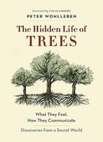 The Hidden Life Of Trees: What They Feel, How They Communicate—Discoveries From A Secret World