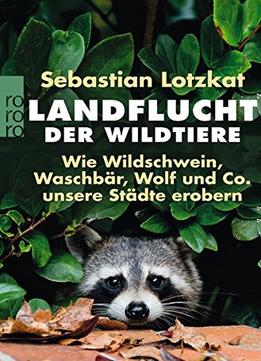 Landflucht Der Wildtiere: Wie Wildschwein, Waschbär, Wolf Und Co. Unsere Städte Erobern