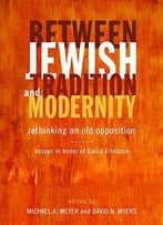Between Jewish Tradition And Modernity: Rethinking An Old Opposition, Essays In Honor Of David Ellenson
