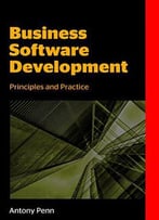 Business Software Development: Principles And Practice