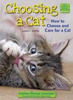 Choosing A Cat: How To Choose And Care For A Cat