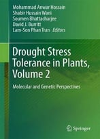 Drought Stress Tolerance In Plants, Vol 2: Molecular And Genetic Perspectives