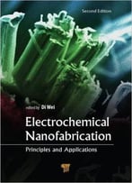 Electrochemical Nanofabrication: Principles And Applications, Second Edition