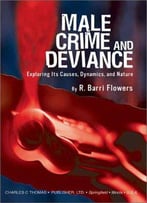 Male Crime And Deviance: Exploring Its Causes, Dynamics And Nature