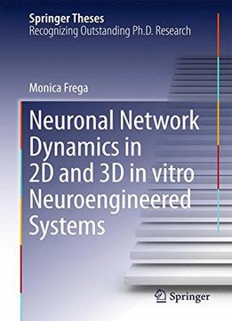 Neuronal Network Dynamics In 2d And 3d In Vitro Neuroengineered Systems