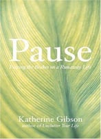 Pause: Putting The Brakes On A Runaway Life