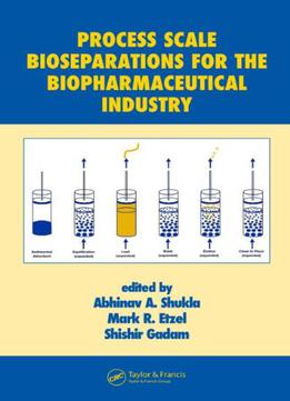Process Scale Bioseparations For The Biopharmaceutical Industry