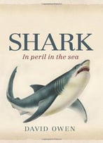 Shark: In Peril In Sea