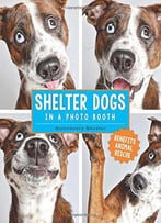 Shelter Dogs In A Photo Booth
