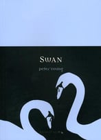 Swan (Animal)