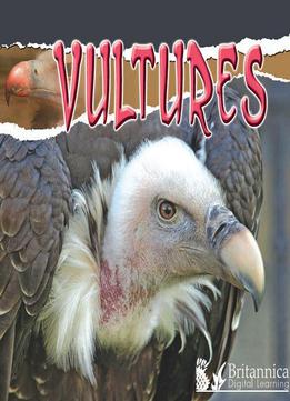 Vultures (raptors)