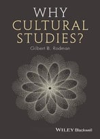 Why Cultural Studies