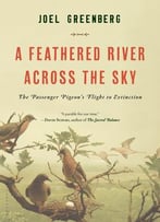 A Feathered River Across The Sky: The Passenger Pigeon's Flight To Extinction