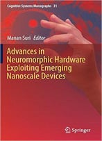 Advances In Neuromorphic Hardware Exploiting Emerging Nanoscale Devices