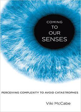 Coming To Our Senses: Perceiving Complexity To Avoid Catastrophes