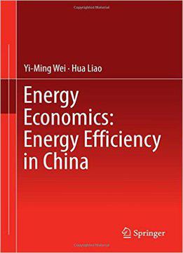Energy Economics: Energy Efficiency In China