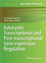 Eukaryotic Transcriptional And Post-Transcriptional Gene Expression Regulation
