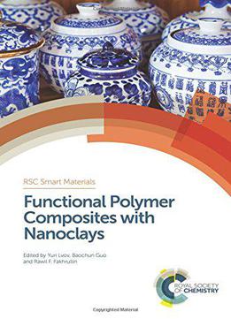 Functional Polymer Composites With Nanoclays