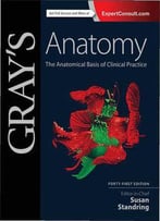 Gray's Anatomy: The Anatomical Basis Of Clinical Practice Ed. By Susan Standring