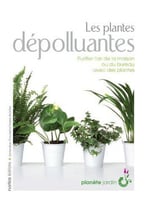 Les Plantes Dépolluantes By Ariane Boixière