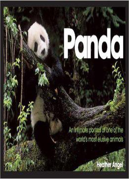 Panda: An Intimate Portrait Of One Of The World's Most Elusive Creatures