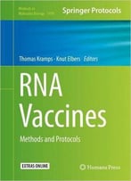 Rna Vaccines: Methods And Protocols