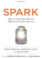 Spark: How To Lead Yourself And Others To Greater Success