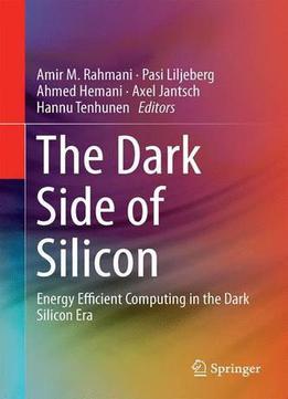 The Dark Side Of Silicon: Energy Efficient Computing In The Dark Silicon Era