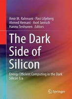 The Dark Side Of Silicon: Energy Efficient Computing In The Dark Silicon Era