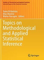 Topics On Methodological And Applied Statistical Inference