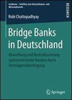 Bridge Banks In Deutschland: Abwicklung Und Restrukturierung Systemrelevanter Banken Durch Vermogensubertragung (Juridicum - Schriften Zum Unternehmens- Und Wirtschaftsrecht)