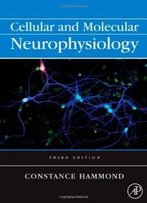 Cellular And Molecular Neurophysiology, Third Edition