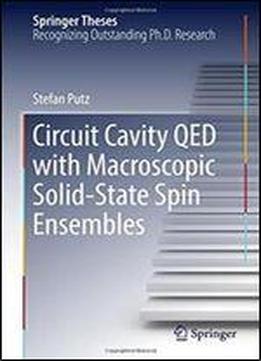 Circuit Cavity Qed With Macroscopic Solid-state Spin Ensembles (springer Theses)