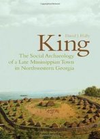 King: The Social Archaeology Of A Late Mississippian Town In Northwestern Georgia