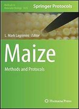 Maize: Methods And Protocols (methods In Molecular Biology)