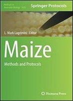 Maize: Methods And Protocols (Methods In Molecular Biology)