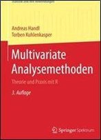 Multivariate Analysemethoden: Theorie Und Praxis Mit R (Statistik Und Ihre Anwendungen)
