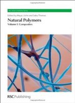 Natural Polymers: Volume 1: Composites (Rsc Green Chemistry)