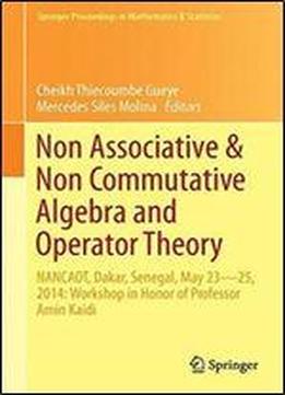 Non-associative And Non-commutative Algebra And Operator Theory: Nancaot, Dakar, Senegal, May 2325, 2014: Workshop In Honor Of Professor Amin Kaidi (springer Proceedings In Mathematics & Statistics)