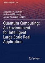 Quantum Computing:An Environment For Intelligent Large Scale Real Application (Studies In Big Data)