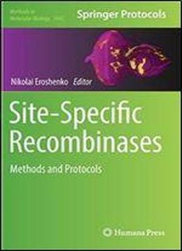 Site-specific Recombinases: Methods And Protocols (methods In Molecular Biology)