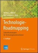 Technologie-Roadmapping: Zukunftsstrategien Fur Technologieunternehmen (Vdi-Buch)