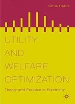 Utility And Welfare Optimization: Theory And Practice In Electricity