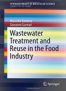 Wastewater Treatment And Reuse In The Food Industry (springerbriefs In Molecular Science)