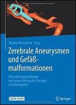Zerebrale Aneurysmen Und Gefamalformationen: Behandlungsgrundlagen Und Neurochirurgische Therapie In Fallbeispielen