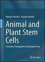 Animal And Plant Stem Cells: Concepts, Propagation And Engineering