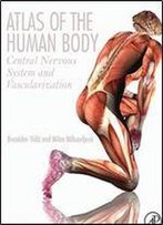 Atlas Of The Human Body: Central Nervous System And Vascularization
